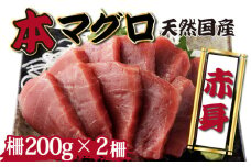 【漁師直送】天然本マグロ 赤身 400g 国産 柵 本まぐろ 鮪 国産まぐろ マグロ 高知県 国産マグロ 魚介類 人気 