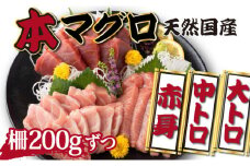 【漁師直送】天然本マグロ 赤身 中トロ 大トロ 600g 国産 柵 31500 本まぐろ 鮪 国産まぐろ マグロ 高知県 国産マグロ 魚介類 人気