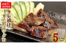 本マグロ特製タレ漬け（焼き物用） 500g （100g×5パック） 天然マグロ まぐろ 鮪 漬け 刺身 BBQ バーベキュー 高知 室戸 冷凍 小分け 便利