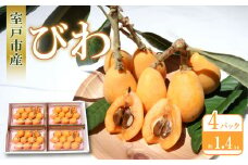 期間限定 びわ 4パック 約1.4kg | なつたより 茂木  枇杷 ビワ フルーツ 果物 大玉 母の日 父の日 数量限定 旬 果実 初夏 季節 贈答 室戸市 高知県
