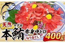 天然本マグロ 中トロ 赤身 切り落とし 400g 小分け(100g×4パック) 訳あり マグロ 刺身 カルパッチョ まぐろ丼 まぐろ漬け丼 魚 惣菜 海鮮丼 魚介類 食べきりサイズ 父の日 冷凍 不揃い クロマグロ 黒マグロ 10000円