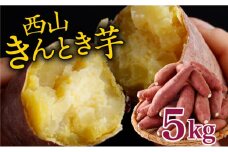 西山きんとき芋 5kg | 秀品 新芋 さつまいも サツマイモ さつま芋 焼き芋 やきいも ヤキイモ 人気 野菜 不揃い 規格外 おやつ デザート秋 旬 生芋 ご家庭用 高知県 室戸市