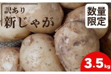 【訳あり】新じゃがいも 3.5kg | 室戸市産 期間限定 数量限定 大小混合 規格外 ジャガイモ 芋 根菜 野菜 旬野菜 高知県