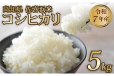 【先行予約】米 5kg 令和7年度産 コシヒカリ こしひかり 新米 お米 白米 国産米 高知県 佐喜浜町産 産地直送 おにぎり お弁当 高知県 室戸市