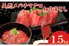 天然 メバチマグロ  切り落とし 1.5kg 100g×15パック めばちまぐろ まぐろ マグロ 鮪 中トロ 天然 天然まぐろ 天然マグロ 刺身 お刺身 食べ比べ 海鮮丼 丼 魚 さかな 新鮮 高知 室戸 冷凍 小分け 海鮮