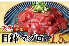 天然 メバチマグロ  切り落とし 1.5kg 100g×15パック めばちまぐろ まぐろ マグロ 鮪 中トロ 天然 天然まぐろ 天然マグロ 刺身 お刺身 食べ比べ 海鮮丼 丼 魚 さかな 新鮮 高知 室戸 冷凍 小分け 海鮮