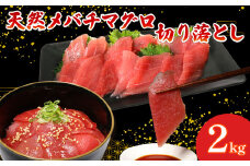 天然 メバチマグロ  切り落とし 2kg 100g×20パック めばちまぐろ まぐろ マグロ 鮪 中トロ 天然 天然まぐろ 天然マグロ 刺身 お刺身 食べ比べ 海鮮丼 丼 魚 さかな 新鮮 高知 室戸 冷凍 小分け 海鮮