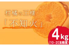 岡村農園直送 不知火 4kg | 数量限定 期間限定 農家直送 大人気 しらぬい 柑橘 デコポン 贈答用 デコポン ふるさと納税 室戸市 人気 ランキング 上位 みかん ミカン 高知県 室戸市