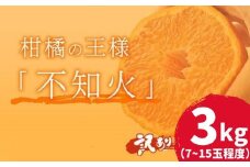 訳あり 岡村農園直送 不知火 3kg | 数量限定 期間限定 農家直送 大人気 しらぬい 柑橘 デコポン 傷ありデコポン ふるさと納税 室戸市 人気 ランキング 上位 みかん ミカン 傷あり 規格外 大小混合 高知県 室戸市