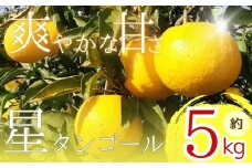 【先行予約】星タンゴール5kg ※4月上旬より出荷開始予定 みかん 柑橘 ミカン mikan オレンジ おれんじ フルーツ 果物 果汁 高知県 高知県室戸市 人気 おすすめ くだもの サマー清見 ジューシー 甘味 酸味 産地直送 農家直送 数量