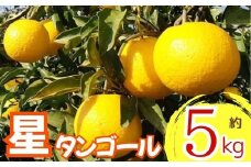 【先行予約】 星タンゴール5kg ※4月上旬より出荷開始予定 みかん 柑橘 ミカン mikan オレンジ おれんじ フルーツ 果物 果汁 高知県 高知県室戸市 人気 おすすめ くだもの サマー清見 ジューシー 甘味 酸味 産地直送 農家直送 数量限定