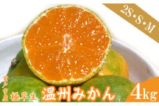 【先行予約】極早生温州みかん 4kg 数量限定 高知県室戸市産 ミカン 柑橘 フルーツ 果物 産地直送 農家直送  おすすめ 人気 果実 うんしゅう ジュース ゼリー デザート