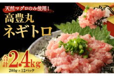 ネギトロ 2.4kg (200g×12パック) 個包装パック 簡単解凍 【配送日時指定可】 天然マグロ使用 ランキング ねぎとろ丼 高品質 まぐろ マグロ 鮪 マグロ たたき まぐろたたき まぐろのたたき 海鮮 魚介 魚 惣菜 小分け 冷凍 個装 便利 簡単 自然解凍 個食 父の日 一人暮らし お手軽 どんぶり ねぎトロ
