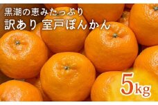 【先行予約受付中】ぽんかん5kg｜訳あり 室戸ポンカン LLサイズ｜高知県室戸市の自然の恵みで育った甘くて濃厚な味わい【ふるさと納税】