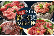 【 全6回定期便 】タカシン水産厳選 高知の海鮮セット まぐろ カツオのたたき ネギトロ 中トロ 刺身 海鮮 鰹 冷凍 魚 海産物 魚介類 高知県 まぐろたたき 鮪 藁焼き わら焼き タカシン定期便 海鮮定期便 頒布会 頒布会