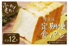 3回定期便 食パンセット【室戸海洋深層水仕込み】 4斤×3回 食パン もちもち ぱん 北海道産小麦使用 朝食 ギフト 定期便 人気 食事パン おやつ 頒布会