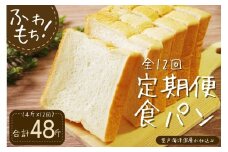 12回定期便 食パンセット【室戸海洋深層水仕込み】 4斤×12回 食パン もちもち ぱん 北海道産小麦使用 朝食 ギフト 定期便 人気 食事パン おやつ 頒布会