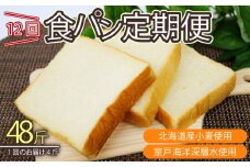 12回定期便 食パンセット【室戸海洋深層水仕込み】 4斤×12回 食パン もちもち ぱん 北海道産小麦使用 朝食 ギフト 定期便 人気 食事パン おやつ 頒布会