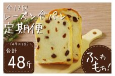 12回定期便 レーズン食パンセット【室戸海洋深層水仕込み】 4斤×12回 食パン もちもち ぱん 北海道産小麦使用 朝食 ギフト 定期便 人気 食事パン おやつ レーズン ぶどう ドライフルーツ 頒布会