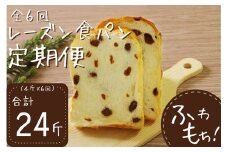6回定期便 レーズン食パンセット【室戸海洋深層水仕込み】4斤×6回 食パン もちもち ぱん 北海道産小麦使用 朝食 ギフト 定期便 人気 食事パン おやつ レーズン ぶどう ドライフルーツ 頒布会