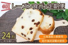 6回定期便 レーズン食パンセット【室戸海洋深層水仕込み】4斤×6回 食パン もちもち ぱん 北海道産小麦使用 朝食 ギフト 定期便 人気 食事パン おやつ レーズン ぶどう ドライフルーツ 頒布会