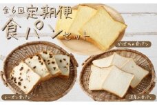 6回定期便 食パンバラエティセット【室戸海洋深層水仕込み】4斤×6回 食パン ぱん 朝食 ギフト 定期便 人気 食事パン おやつ レーズン ぶどう ドライフルーツ かぼちゃ あんこ セット バラエティ 頒布会