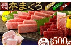 【厳選天然本まぐろ】大トロ・中トロ・赤身 500g　天然まぐろ 天然マグロ まぐろ 鮪 刺身 お刺身用 サク 柵 スライス 切り落とし 高知 室戸 冷凍 瞬間冷凍 小分け 便利
