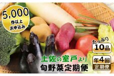 季節のお野菜詰め合わせセット 定期便 春夏秋冬年4回 旬のおまかせ 詰め合わせ 産地直送 季節の新鮮 野菜 定期便 果物 セット じゃがいも きゅうり トマト とうもろこし アスパラガス 玉ねぎ 蓮根 等  ふるさと納税 高知県 室戸市 rk015 子