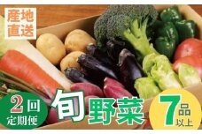 季節のお野菜詰め合わせセット 定期便 2回 旬のおまかせ 詰め合わせ 産地直送 季節の新鮮 野菜 定期便 果物 セット じゃがいも きゅうり トマト とうもろこし アスパラガス 玉ねぎ 蓮根 等  ふるさと納税 高知県 室戸市 rk051 