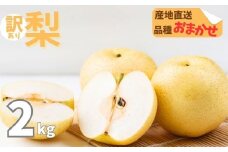 【訳あり】品種おまかせ梨2kg（5から8個）親水 幸水 豊水 菊水 旬の梨 大小混合 訳あり ワケアリ 高知県 室戸市