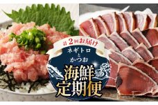 【 全2回定期便 】ネギトロ と カツオ の 定期便 海鮮 鮪 鰹 定期 セット まぐろ カツオのたたき ネギトロ 中トロ 刺身 海鮮 鰹 冷凍 魚 海産物 魚介類 高知県 まぐろたたき 鮪 藁焼き わら焼き タカシン定期便 海鮮定期便 頒布会