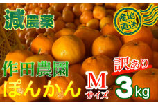 【訳あり】作田農園直送！ポンカンＭサイズ 3kg 減農薬 有機肥料 ポンカン ぽんかん くだもの 果物 フルーツ 柑橘 かんきつ みかん ミカン 人気