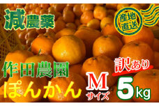 【訳あり】作田農園直送！ポンカンＭサイズ5kg 減農薬 有機肥料 ポンカン ぽんかん くだもの 果物 フルーツ 柑橘 かんきつ みかん ミカン 人気