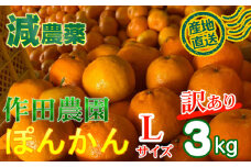 【訳あり】作田農園直送！ポンカンＬサイズ3kg 減農薬 有機肥料 ポンカン ぽんかん くだもの 果物 フルーツ 柑橘 かんきつ みかん ミカン 人気