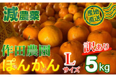 【訳あり】作田農園直送！ポンカンＬサイズ 5kg 減農薬 有機肥料 ポンカン ぽんかん くだもの 果物 フルーツ 柑橘 かんきつ みかん ミカン 人気