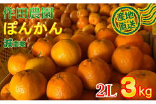 【秀品】作田農園直送！ポンカン2Lサイズ 3kg _ 減農薬 有機肥料 ポンカン ぽんかん くだもの 果物 フルーツ 柑橘 かんきつ みかん ミカン 人気