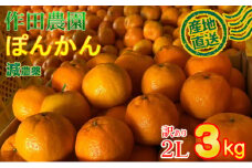 【訳あり】作田農園直送！ポンカン2Lサイズ 3kg _ 減農薬 有機肥料 ポンカン ぽんかん くだもの 果物 フルーツ 柑橘 かんきつ みかん ミカン 人気