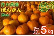 【訳あり】作田農園直送！ポンカン2Lサイズ 5kg _ 減農薬 有機肥料 ポンカン ぽんかん くだもの 果物 フルーツ 柑橘 かんきつ みかん ミカン 人気