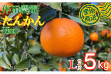 【秀品】作田農園直送！タンカンＬサイズ 5kg  _ 減農薬 有機肥料 たんかん くだもの 果物 フルーツ 柑橘 かんきつ 人気