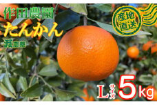 【秀品】作田農園直送！タンカンＬサイズ 5kg  _ 減農薬 有機肥料 たんかん くだもの 果物 フルーツ 柑橘 かんきつ 人気