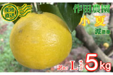 【訳あり】作田農園直送！小夏Ｌサイズ5kg  _ 減農薬 有機肥料 こなつ くだもの 果物 フルーツ 柑橘 かんきつ 人気