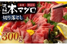 天然本マグロ 中トロ 赤身 切り落とし 300g 小分け(100g×3パック) 訳あり マグロ 刺身 カルパッチョ まぐろ丼 まぐろ漬け丼 魚 惣菜 海鮮丼 魚介類 食べきりサイズ 父の日 冷凍 不揃い クロマグロ 黒マグロ