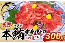 天然本マグロ 中トロ 赤身 切り落とし 300g 小分け(100g×3パック) 訳あり マグロ 刺身 カルパッチョ まぐろ丼 まぐろ漬け丼 魚 惣菜 海鮮丼 魚介類 食べきりサイズ 父の日 冷凍 不揃い クロマグロ 黒マグロ