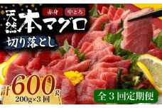 【 3回定期便 】 天然本マグロ 中トロ 赤身 切り落とし 200g 小分け(100g×2パック) 訳あり マグロ 刺身 カルパッチョ まぐろ丼 まぐろ漬け丼 魚 惣菜 海鮮丼 魚介類 食べきりサイズ 父の日 冷凍 不揃い クロマグロ 黒マグロ