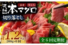 【 6回定期便 】 天然本マグロ 中トロ 赤身 切り落とし 200g 小分け(100g×2パック) 訳あり マグロ 刺身 カルパッチョ まぐろ丼 まぐろ漬け丼 魚 惣菜 海鮮丼 魚介類 食べきりサイズ 父の日 冷凍 不揃い クロマグロ 黒マグロ