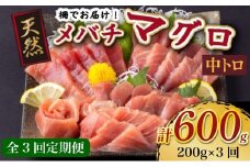 【 3回定期便 】 天然メバチマグロ 【 中トロ 】200ｇ（柵） メバチマグロ めばちまぐろ めばち メバチ まぐろ マグロ 鮪 サク 柵 中トロ 天然 天然まぐろ 天然マグロ 刺身 お刺身 食べ比べ 海鮮丼 丼 魚 さかな 新鮮 高知 室戸 冷凍 小分け 海鮮