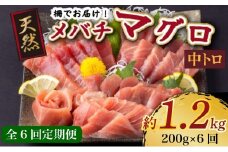 【 6回定期便 】 天然メバチマグロ 【 中トロ 】200ｇ（柵） メバチマグロ めばちまぐろ めばち メバチ まぐろ マグロ 鮪 サク 柵 中トロ 天然 天然まぐろ 天然マグロ 刺身 お刺身 食べ比べ 海鮮丼 丼 魚 さかな 新鮮 高知 室戸 冷凍 小分け 海鮮