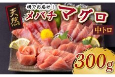 天然メバチマグロ 【 中トロ 】300ｇ（柵） メバチマグロ めばちまぐろ めばち メバチ まぐろ マグロ 鮪 サク 柵 中トロ 天然 天然まぐろ 天然マグロ 刺身 お刺身 食べ比べ 海鮮丼 丼 魚 さかな 新鮮 高知 室戸 冷凍 小分け 海鮮