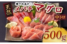 天然メバチマグロ 【 中トロ 】500ｇ（柵） メバチマグロ めばちまぐろ めばち メバチ まぐろ マグロ 鮪 サク 柵 中トロ 天然 天然まぐろ 天然マグロ 刺身 お刺身 食べ比べ 海鮮丼 丼 魚 さかな 新鮮 高知 室戸 冷凍 小分け 海鮮