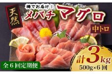 【 6回定期便 】 天然メバチマグロ 【 中トロ 】500ｇ（柵） メバチマグロ めばちまぐろ めばち メバチ まぐろ マグロ 鮪 サク 柵 中トロ 天然 天然まぐろ 天然マグロ 刺身 お刺身 食べ比べ 海鮮丼 丼 魚 さかな 新鮮 高知 室戸 冷凍 小分け 海鮮